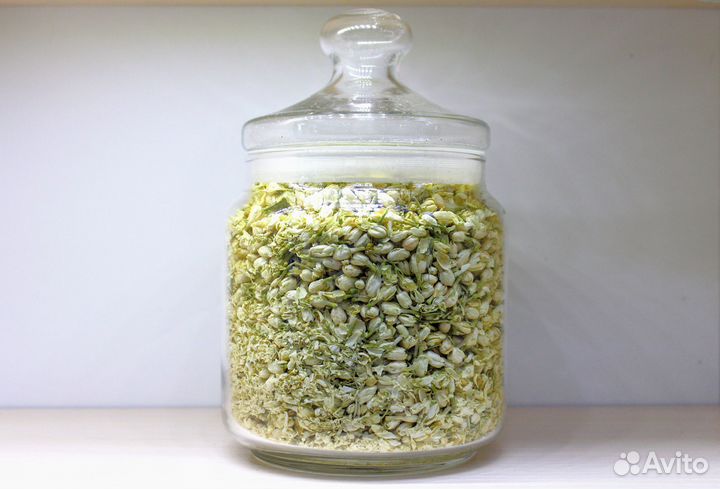 Жасмин (сушеные бутоны, сухоцветы)