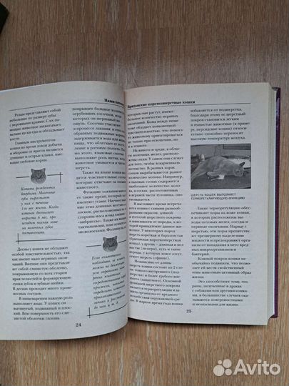 Книга британские кошки