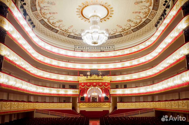Билеты в Александрийский театр 1/3