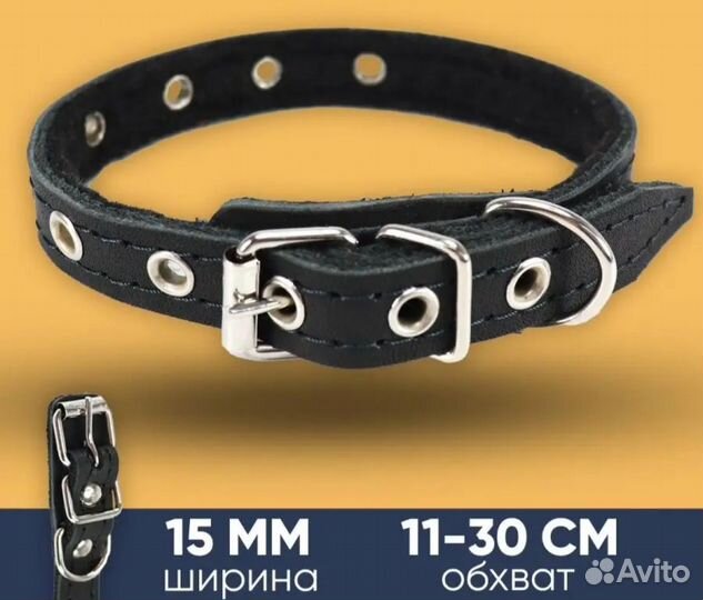 Товары для собак