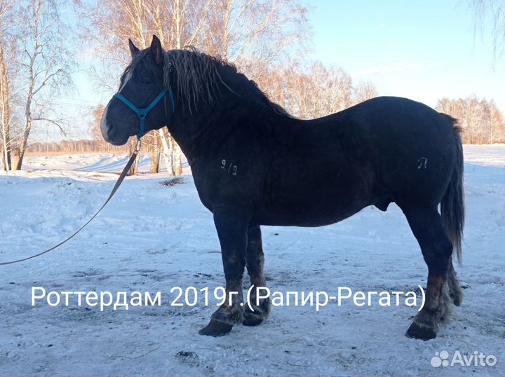 Советский тяжеловоз