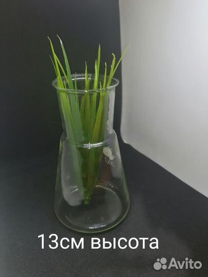 Колба, пробирка, лабораторная посуда