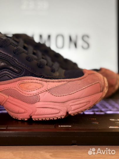 Raf simons ozweego 2