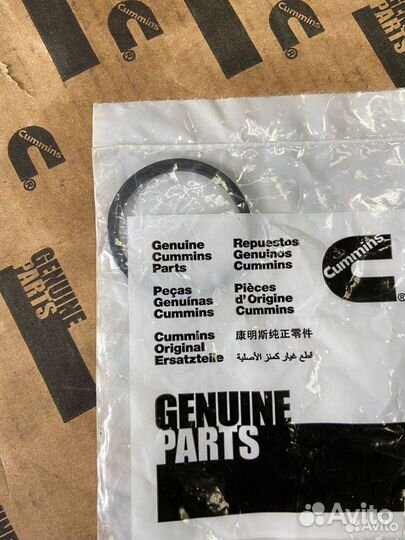 Кольцо уплотнительное маслоохладителя Cummins