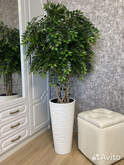Искусственные Пальмы, фикусы, деревья в кашпо