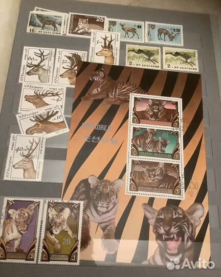 Альбом СССР с разными марками