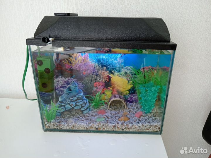 Аквариум