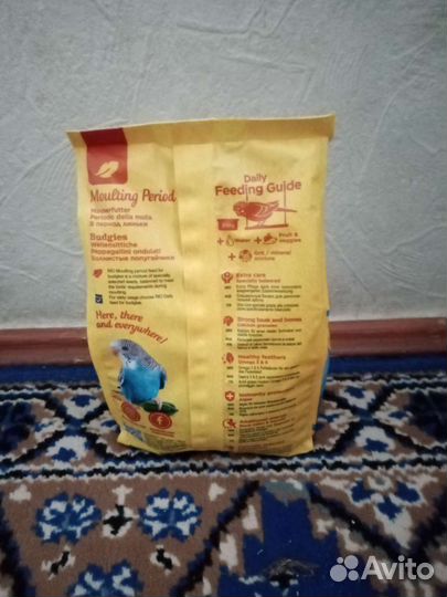 Rio-волнистые попугайчики