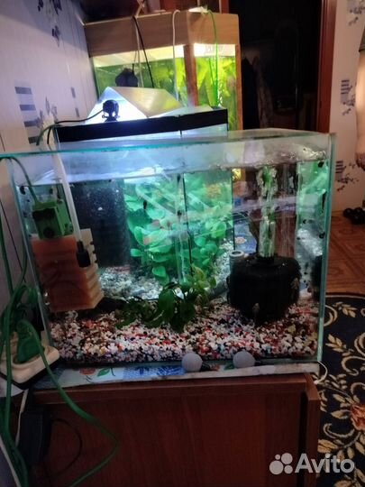 Аквариум с подставкой