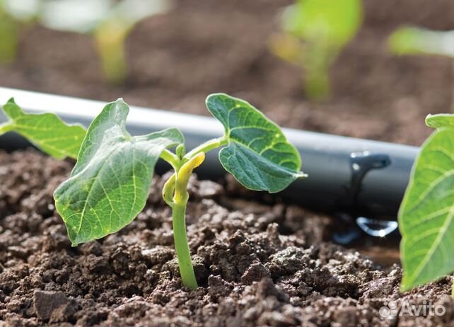 Капельный полив 