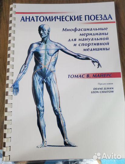 Fascia. Что это такое и почему это важно