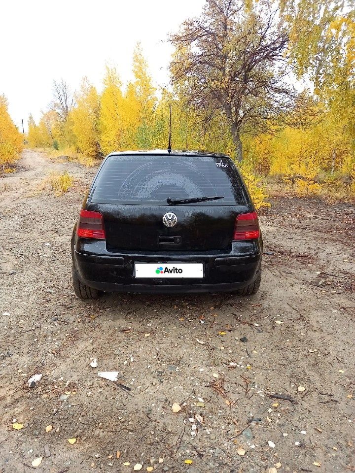 Volkswagen Golf: фото владельца