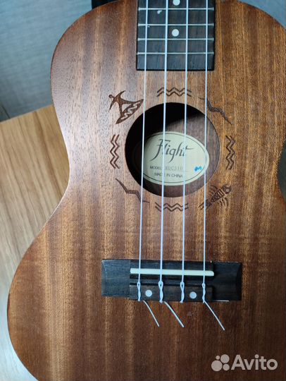 Укулеле flight концерт