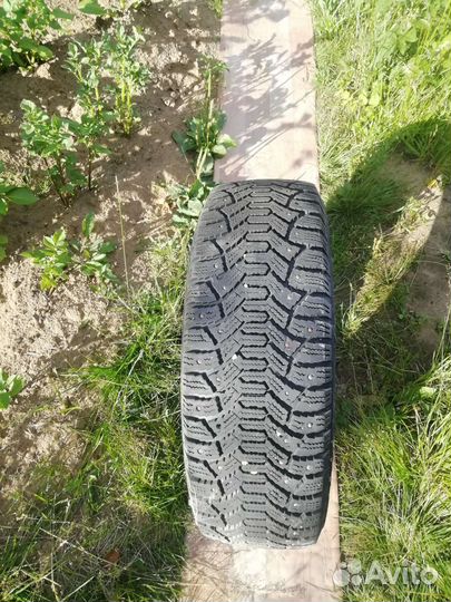 Cordiant Polar 195/60 R15