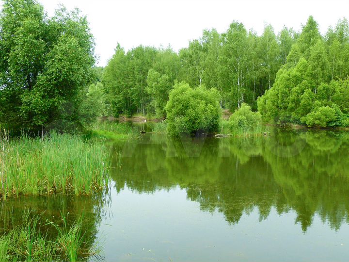 Дом 44 м² на участке 15 сот.