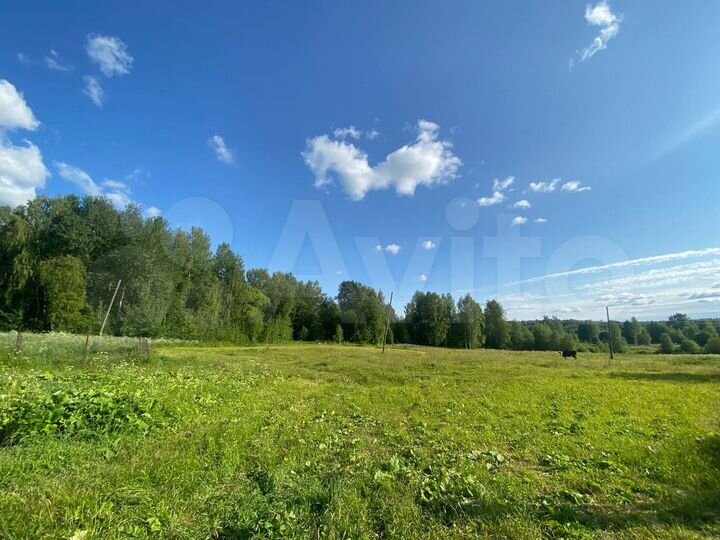 Участок 6 га (ИЖС)