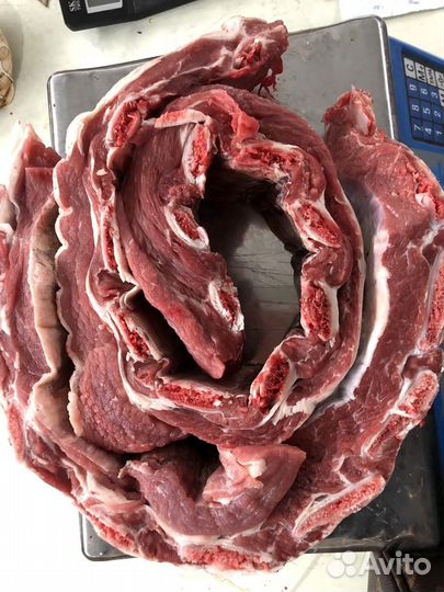 Мясо говядина