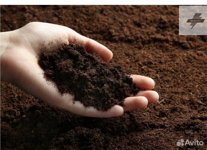 Купить чернозем торф
