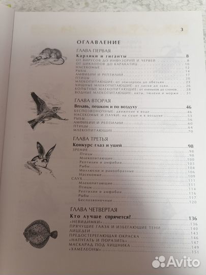 Энциклопедия для детей