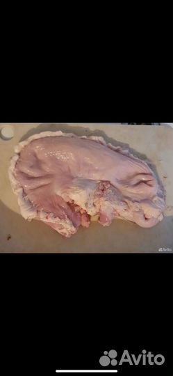 Свинные желудки,внутрянной жир,селезенка,легкие