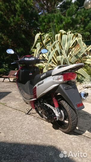 Omaks Falcone 150/50