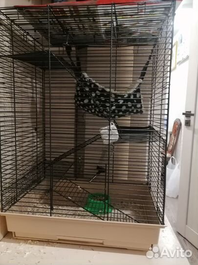 Клетка для крыс