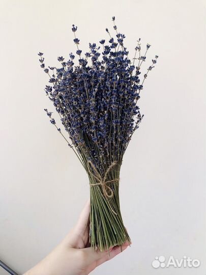 Букет из Лаванды