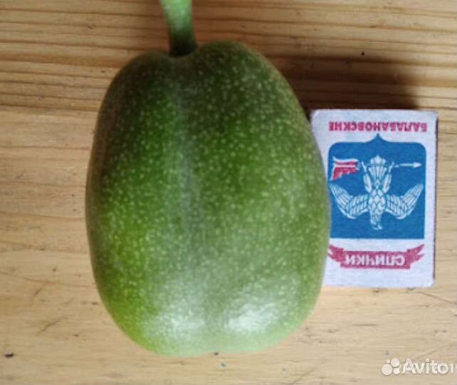 Грецкий орех привитый