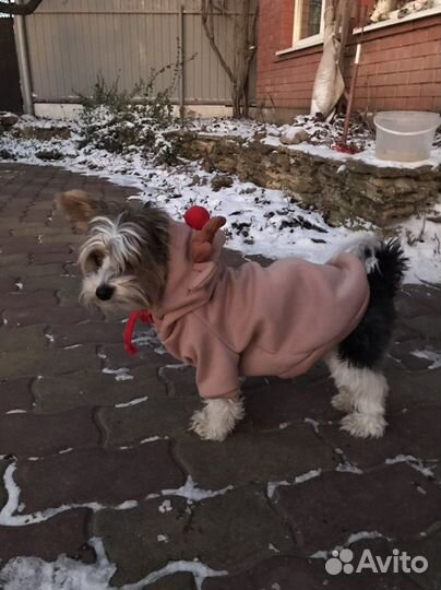 Жилет для собачки