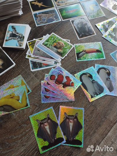 Наклейки panini super animals