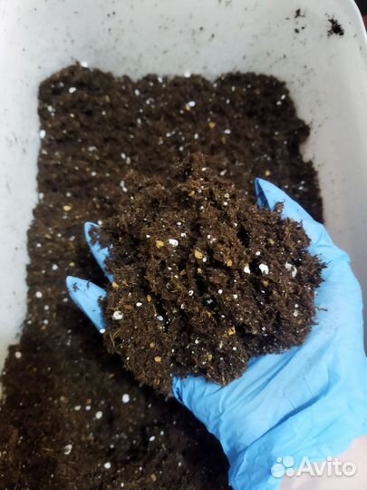 Грунт для комнатных растений