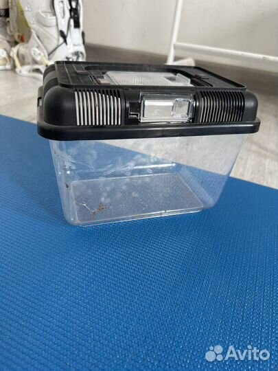 Мини террариум