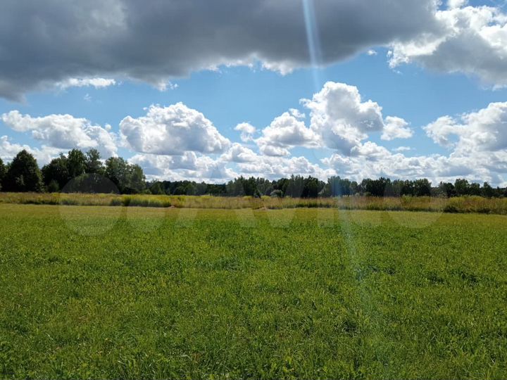 Участок 4,8 га (ИЖС)