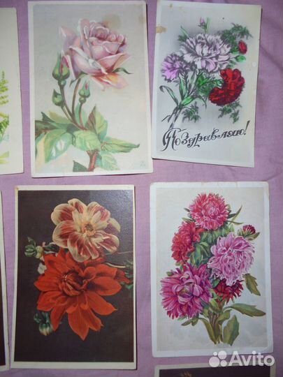 Цветы 1948 - 1960 гг Изогиз Сов худ Изобразит исск