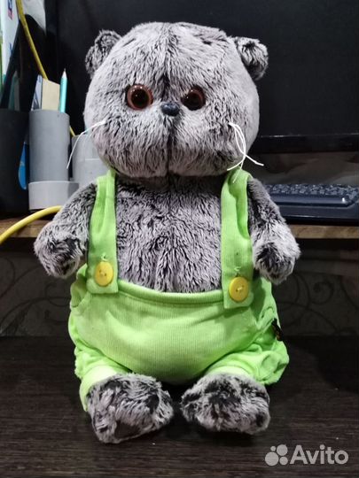 Коты басики