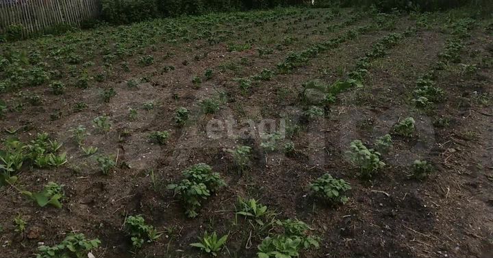 Дача 56 м² на участке 7,6 сот.