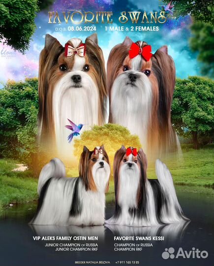 Бивер девочка