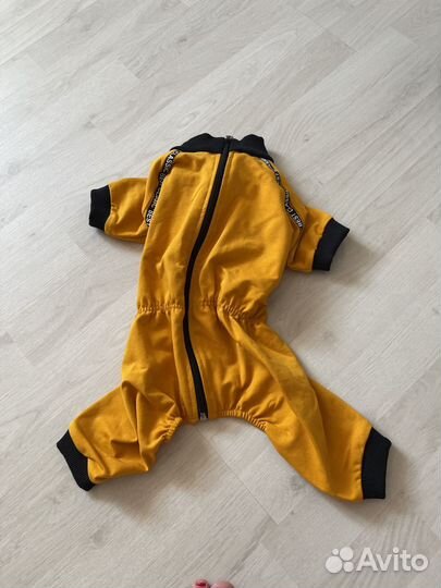 Одежда для собак