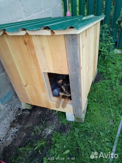 Будка конура вольер для собак