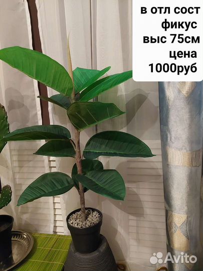 Фикус искусственный