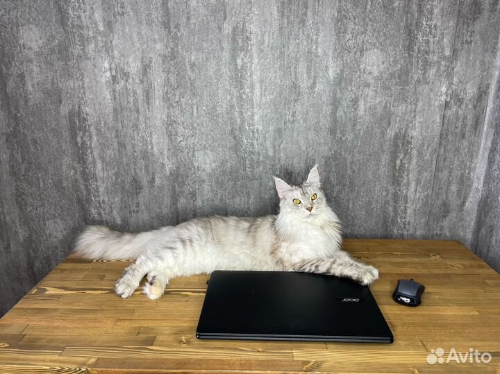 Ноутбук Acer для офиса SSD256 Обмен Macbook