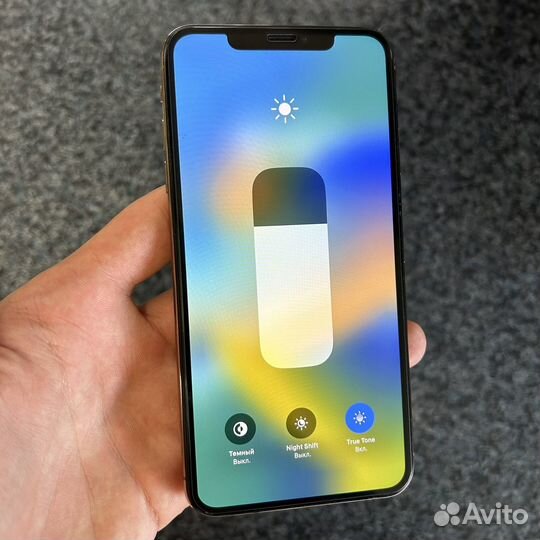 iPhone Xs Max 256Gb