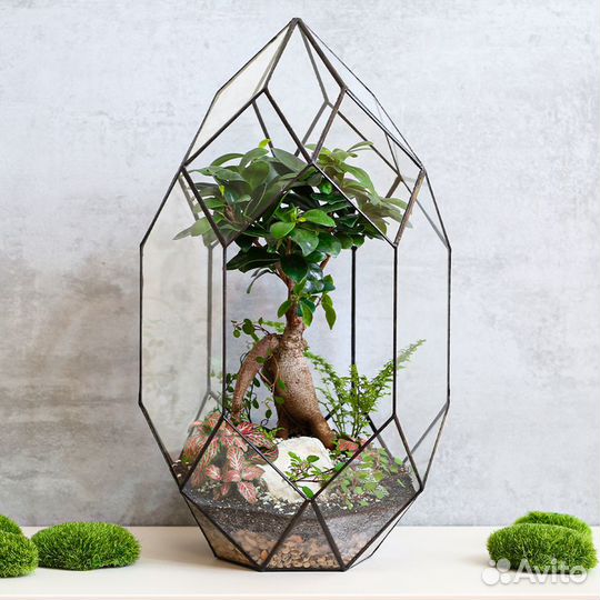 Флорариум с бонсай