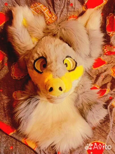 Фурсьют. Чит. Описание