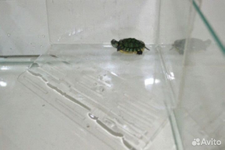 Пл-7 Плотик для черепашек угловой (установка на дн