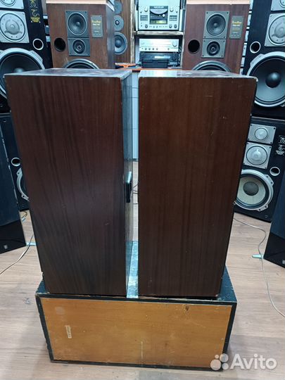 Колонки радиотехника S90B