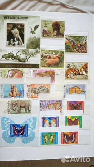 Марки СССР Фауна Флора 1983-1987г (Бел обл)