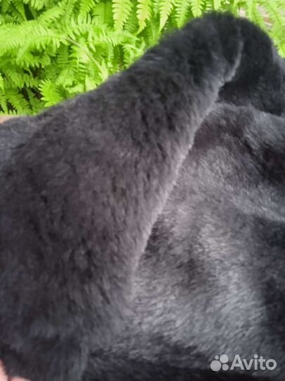 Натуральный мех