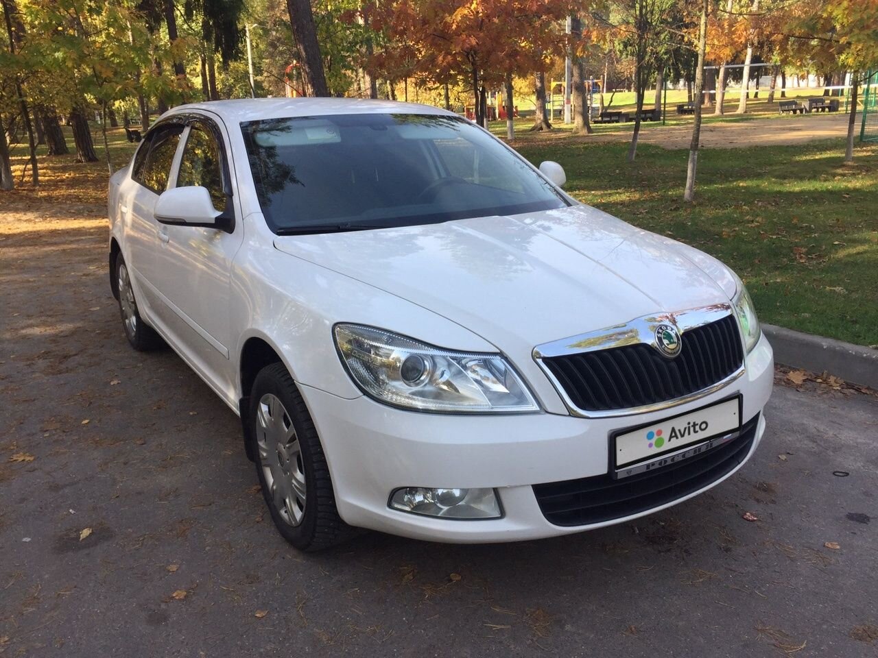 Skoda Octavia: фото владельца