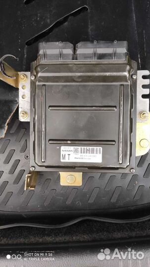 Эбу, мозги Nissan teana j31